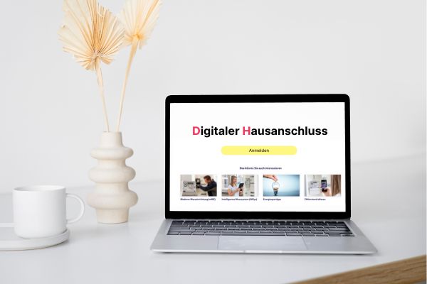 Digitaler Hausanschluss Change Management